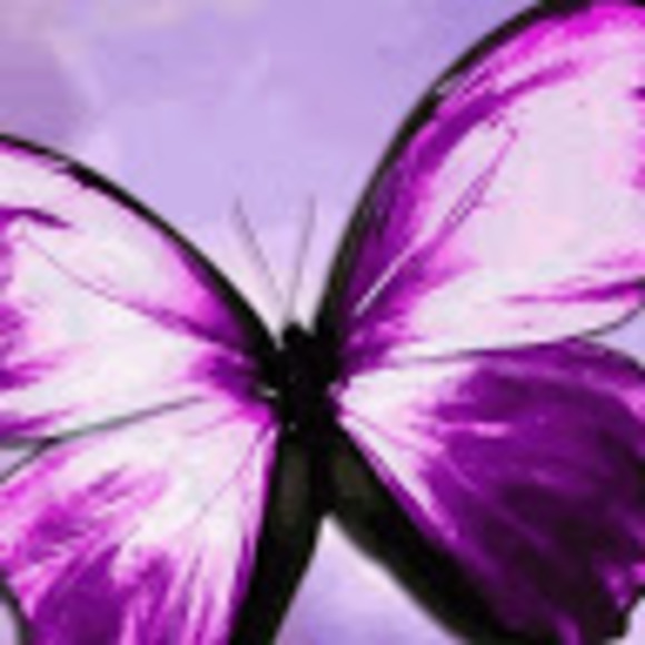 Meet your Posher, Tina - Picture 1 of 1